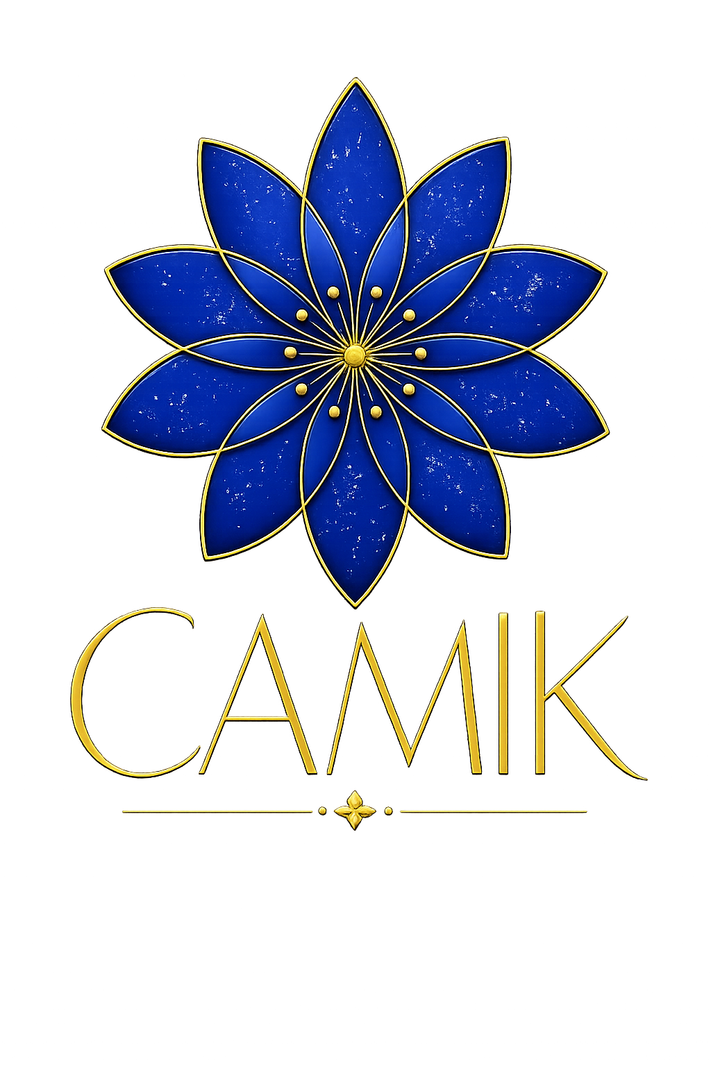 CAMIK